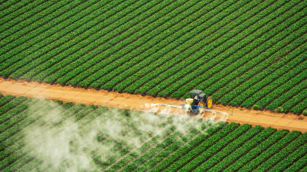 Best Ant Control Services  in Galesville, MD